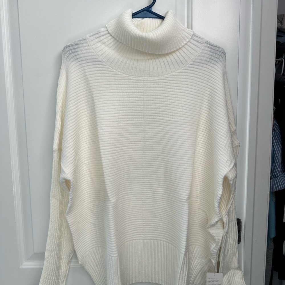 Chic Cream Turtleneck Sweater